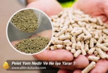 Pelet Yem Nedir Ve Ne İşe Yarar ?