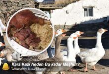 Kars Kazı Neden Bu kadar Meşhur?