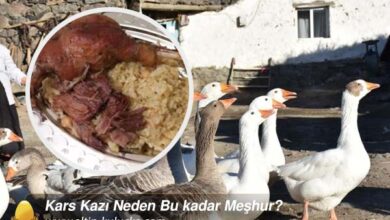 Kars Kazı Neden Bu kadar Meşhur?