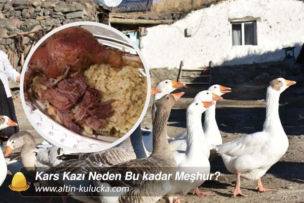 Kars Kazı Neden Bu kadar Meşhur?