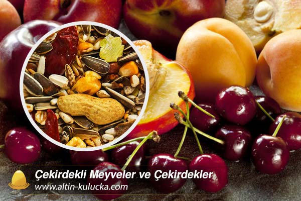 Çekirdekli Meyveler ve Çekirdekler
