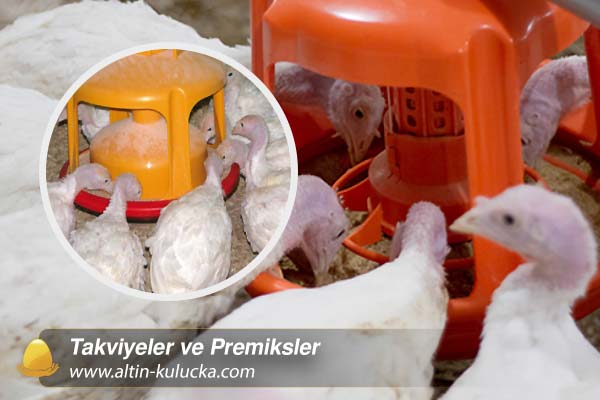 Takviyeler ve Premiksler