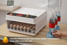 Kuluçka Makinesinde Nem Oranı Neden Yükselmiyor