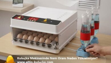 Kuluçka Makinesinde Nem Oranı Neden Yükselmiyor