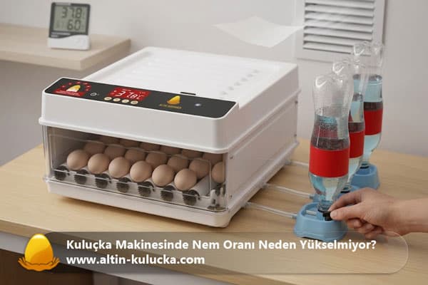 Kuluçka Makinesinde Nem Oranı Neden Yükselmiyor