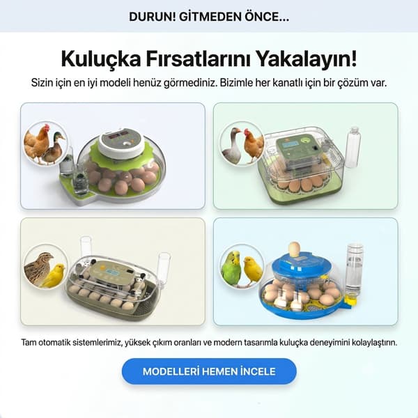 Özel Teklif