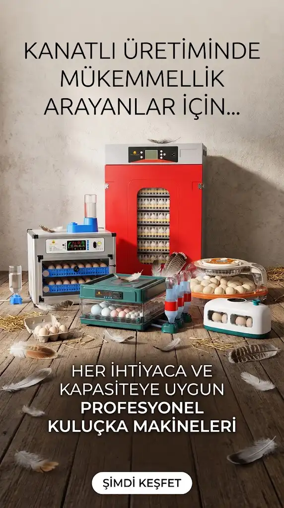 Profesyonel Kuluçka Makineleri