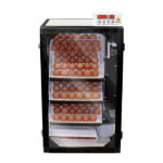 Buy 168 egg incubator