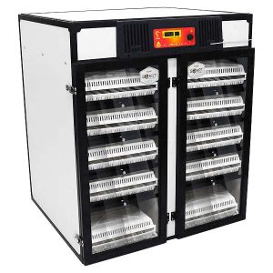 Turna4-profesyonel-kuluçka-makinesi