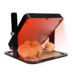 Güvenli ve Esnek Civciv Isıtma Çözümü