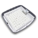 72 lik otomatik kuluçka makinesi