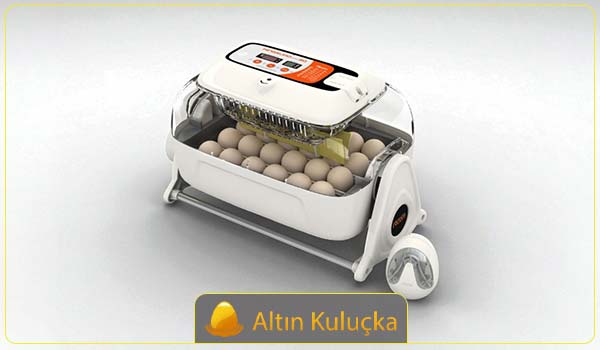 Rcom Kuluçka Makinesi - altin kulucka