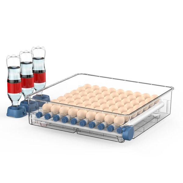 64 lü kuluçka makinesi yumurta dizmesi