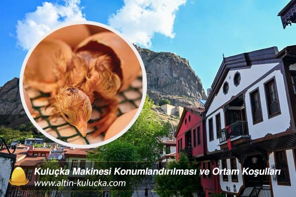 Kuluçka Makinesi Konumlandırılması ve Ortam Koşulları