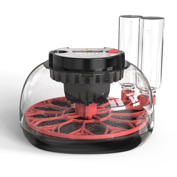 12 lik Altın kuluçka makinesi arka görsel