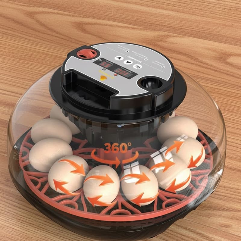 12 lik Altın kuluçka makinesi 360 derece yumurta çevirme