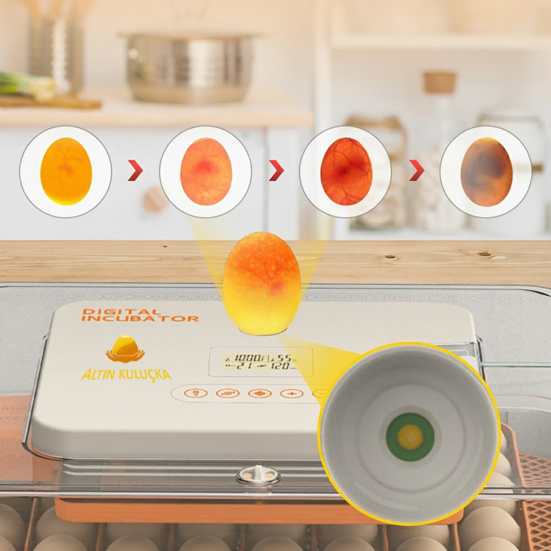 56 lı Altın kuluçka makinesi LED döl kontrol ışığı