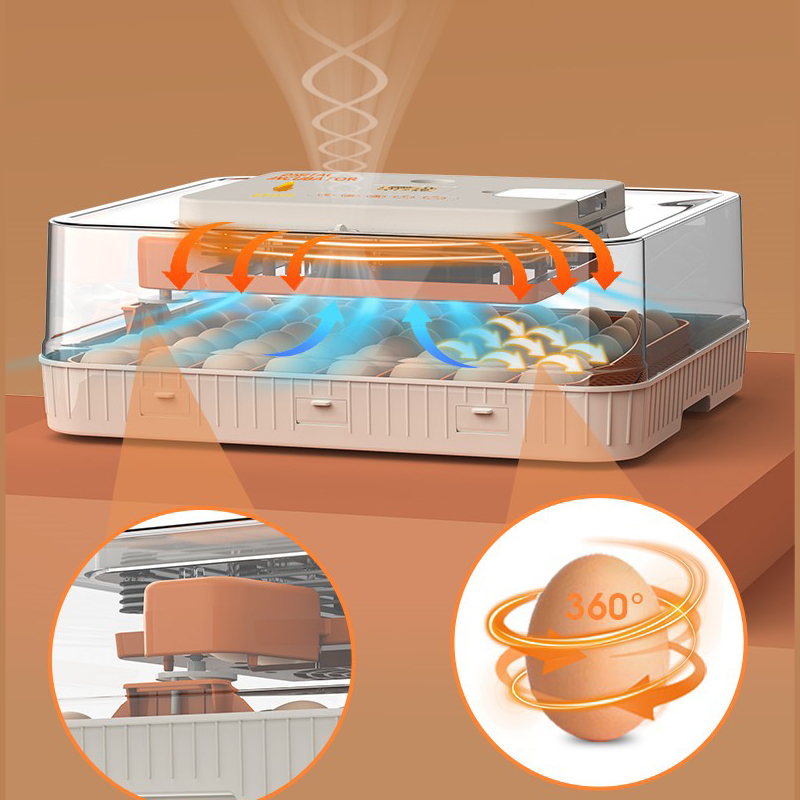 56 lı Altın kuluçka makinesi 360 derece yumurta çevirme