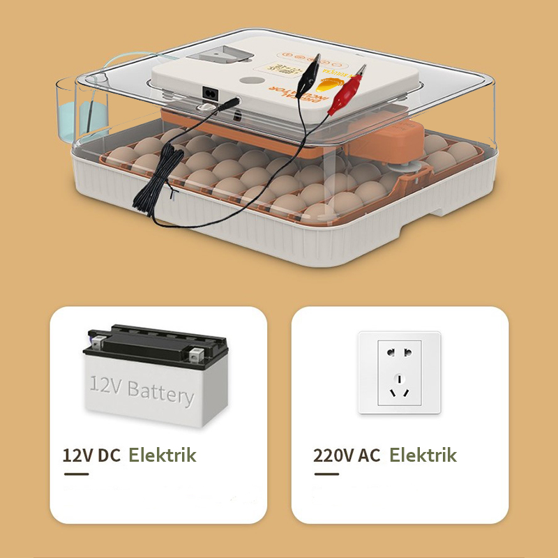 56 lı Altın kuluçka makinesi çift güç kaynağı