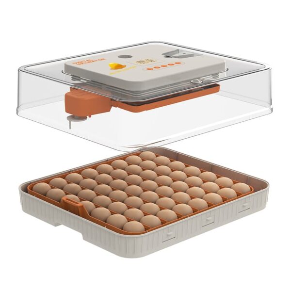 56 lı Altın kuluçka makinesi kapak ve taban