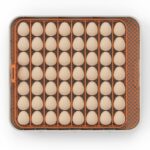 56 lı Altın kuluçka makinesi yumurta viyolü