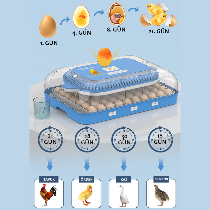70 li kuluçka makinesi döl kontrol ışığı