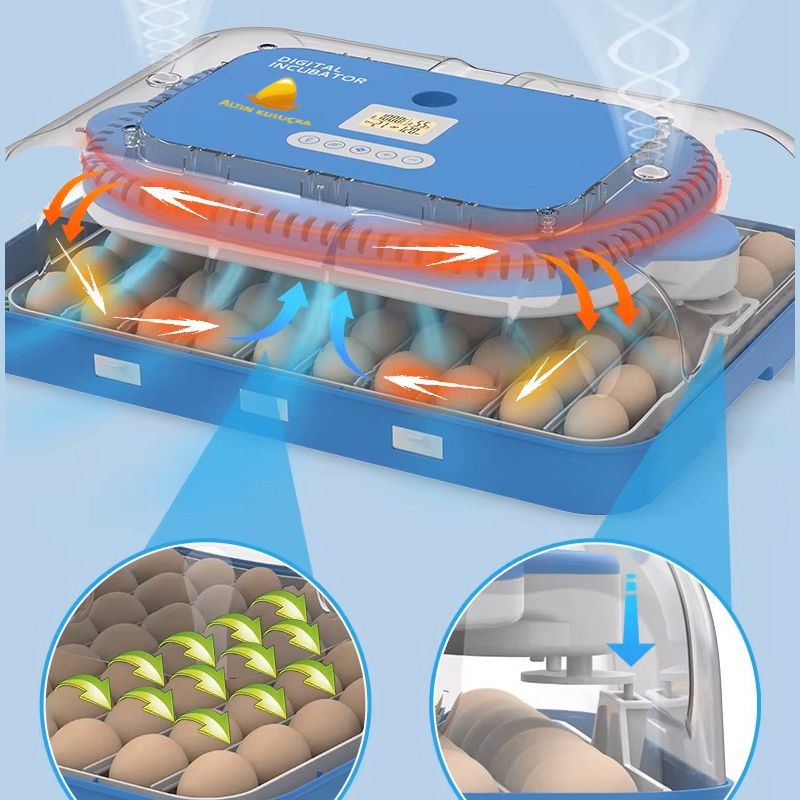 70 li kuluçka makinesi homojen hava dağılımı