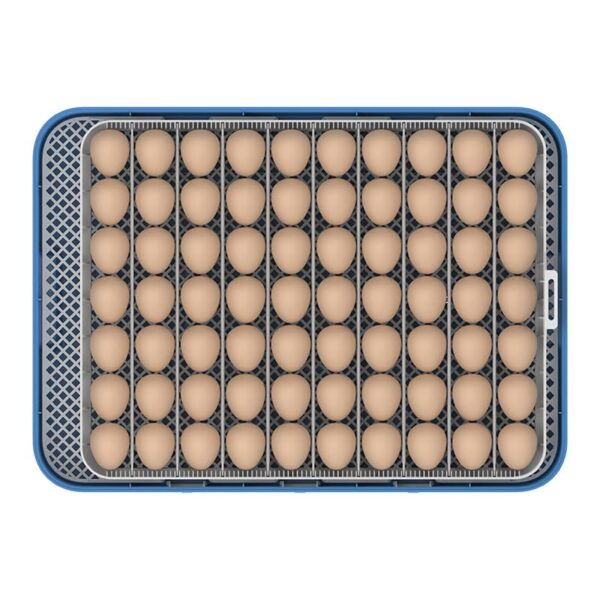 70 li kuluçka makinesi yumurta tepsisi