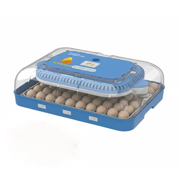 70 li kuluçka makinesi görünümü