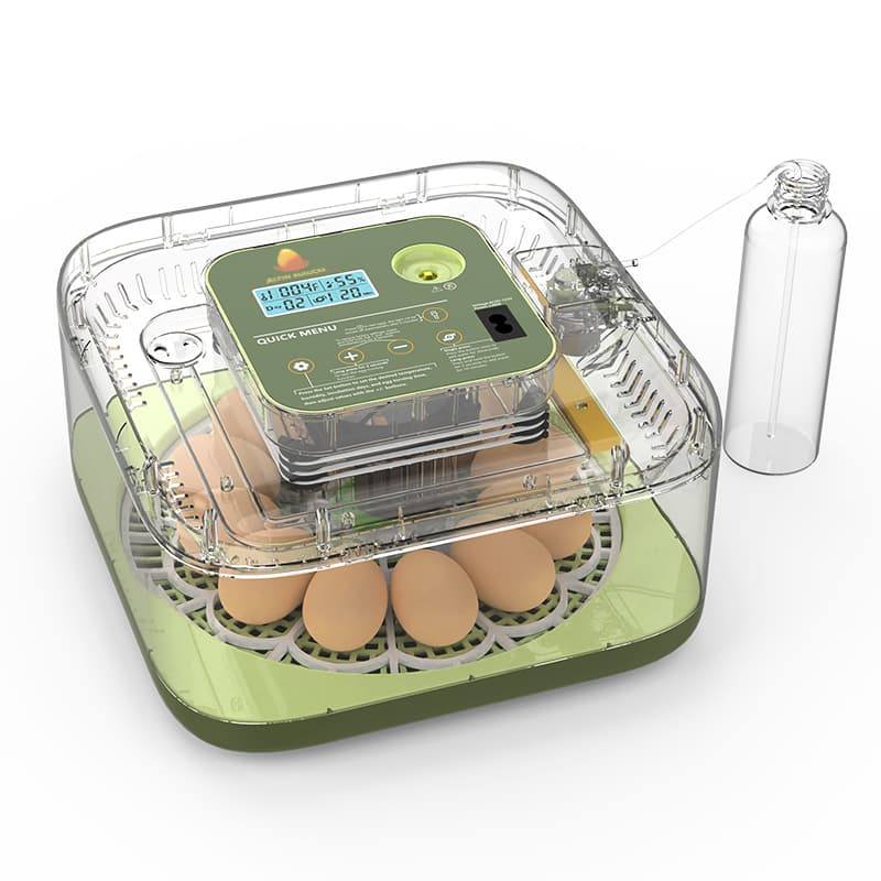 Altın-12li-1 Altın 12li görsel