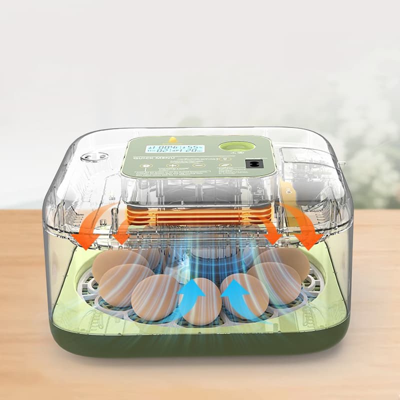 Altın 12 li sıcaklık dağılımı