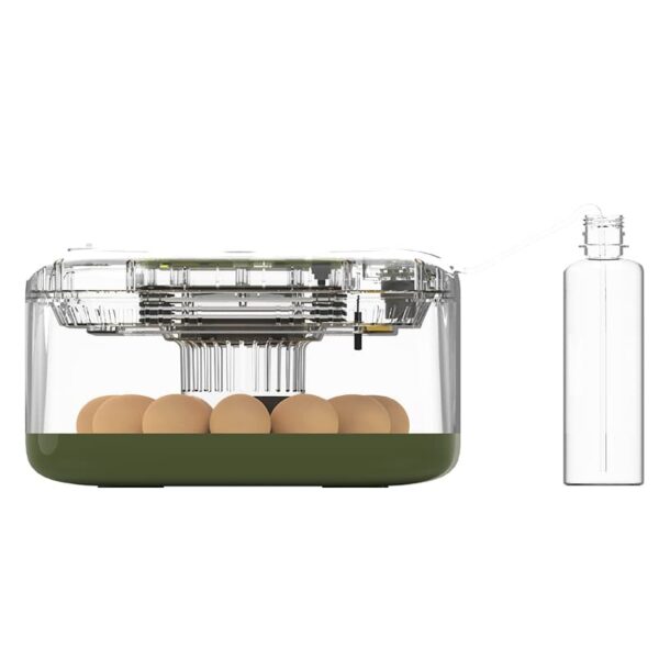 Altın 12 li kenardan görsel