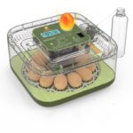 Altın 12li döl kontrol ışığı