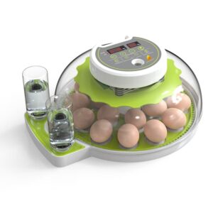 18 li Altın Kuluçka Makinesi- Gövde