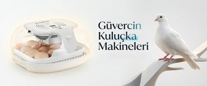 Güvercin Kuluçka Makineleri