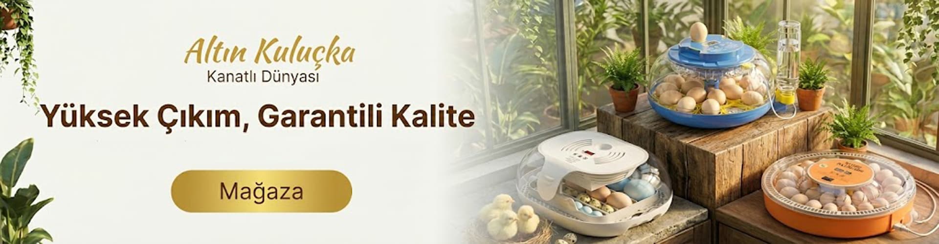 Altin Kulucka Kuluçka Makineleri