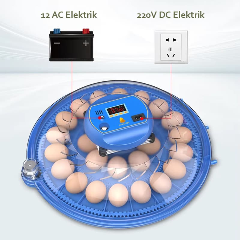 Altın 24 lü kuluçka makinesi 12v +220v elektrikle çalışması