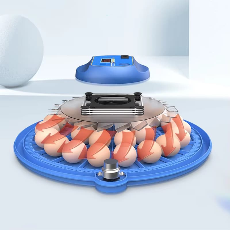 Altın 24 lü kuluçka makinesi homojen hava dağılımı