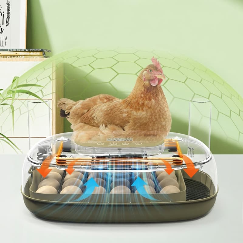 24 lü Altın kuluçka makinesi ısıtma