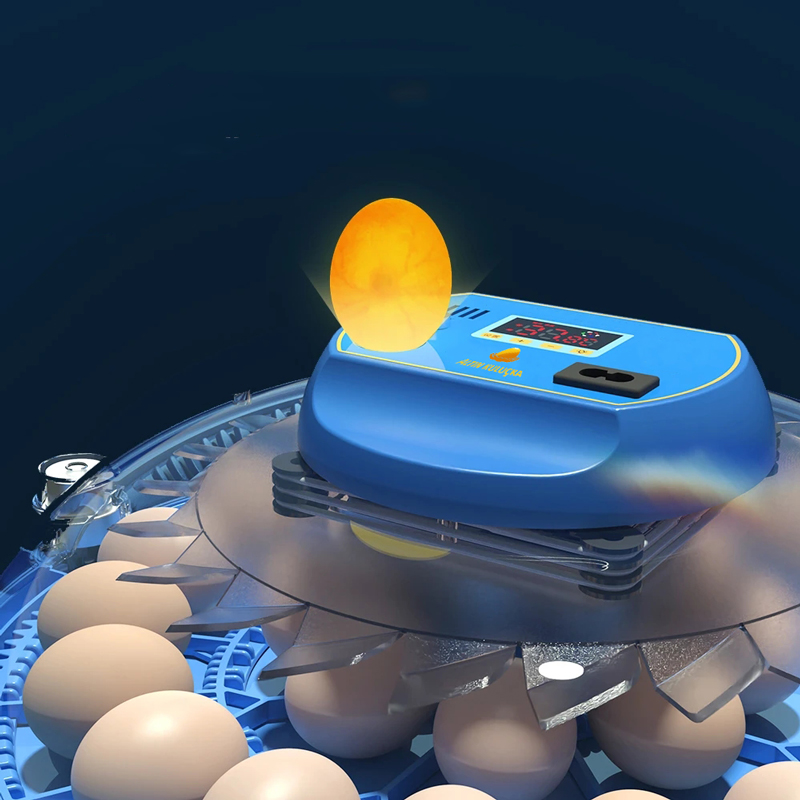 Altın 24 lü kuluçka makinesi döl kontrol ışığı