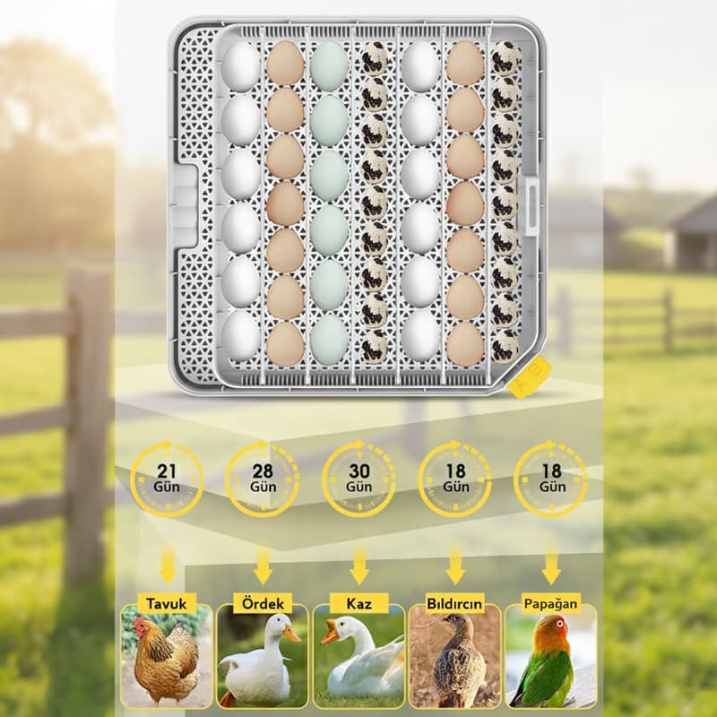 48 li kuluçka makinesi multifonksiyonel viyol