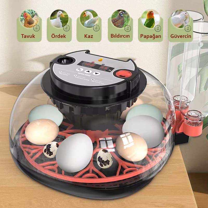 12 li Altın kuluçka makinesi farklı kuşlara uygun