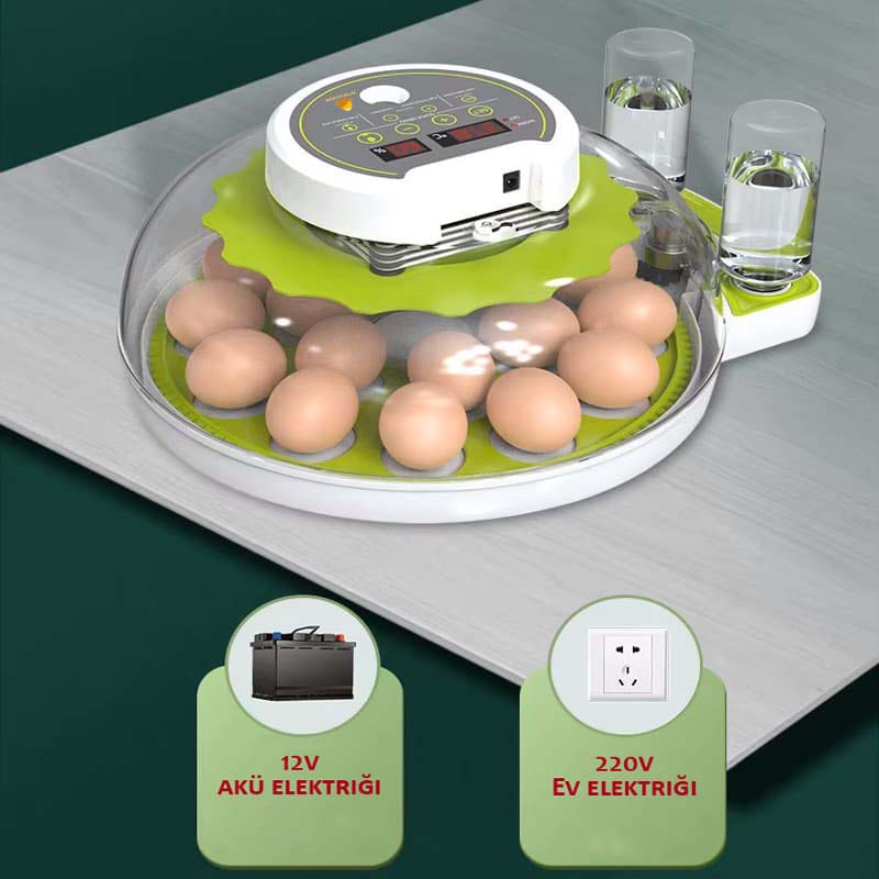 18 li Altın kuluçka makinesi çift güç kaynağı