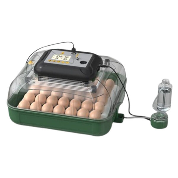 30 lu Altın Kuluçka Makinesi görsel