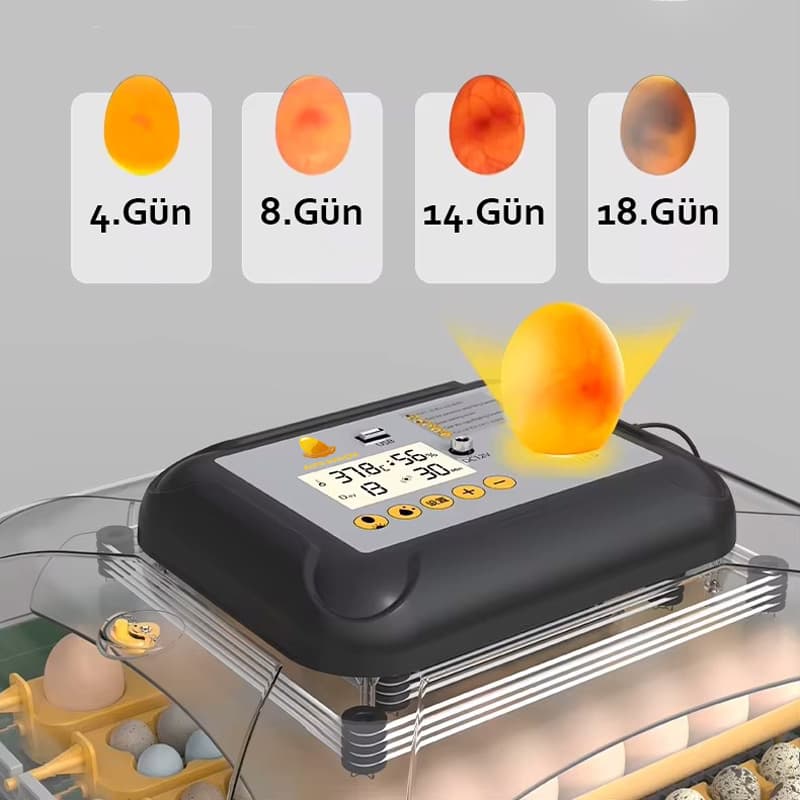 32 li altın kuluçka makinesi döl kontrol lambası 