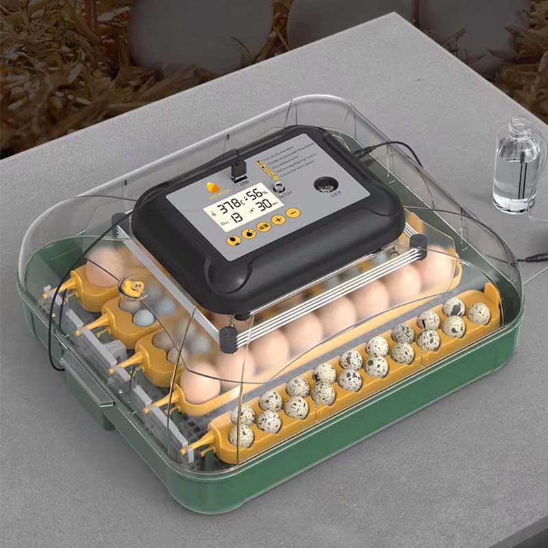 32 li kuluçka makinesi tasarımı 