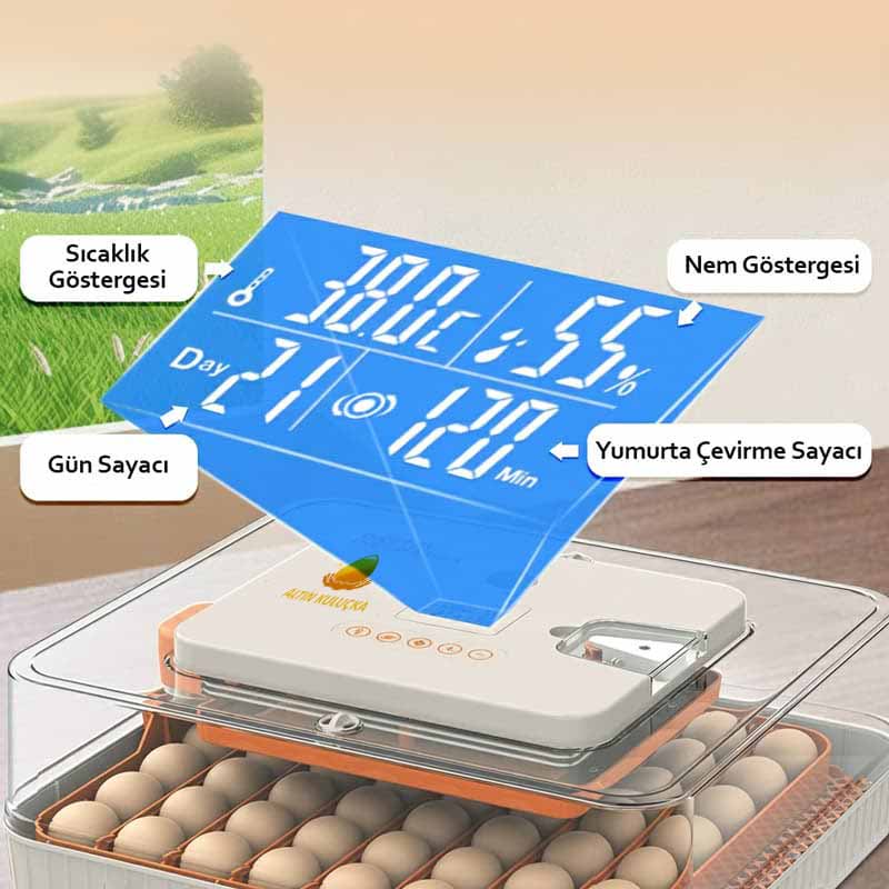 Altın kuluçka 56 lık makine göstergeleri 