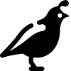 Bıldırcın