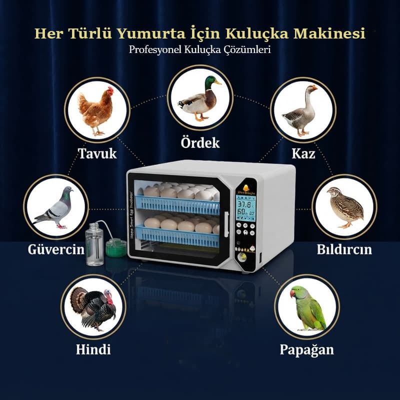 WZ-M40 Geniş Kullanım Alanı