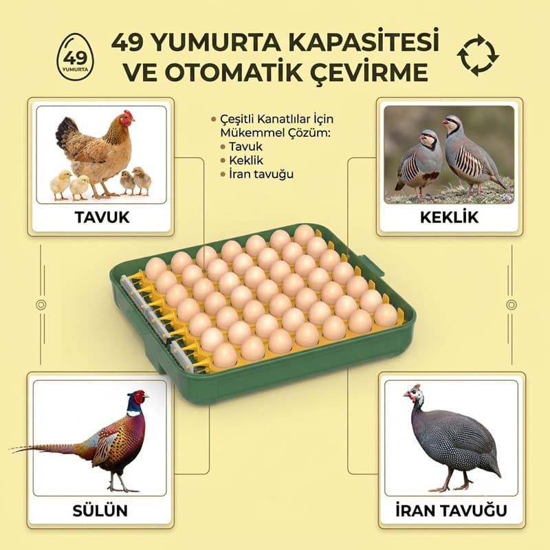 WZ-Y49 Yumurta kapasitesi